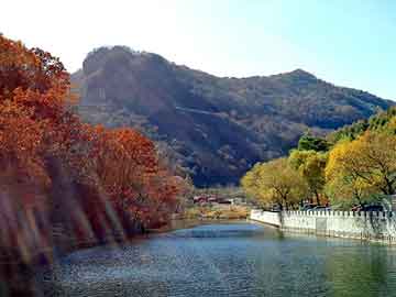 新澳天天开奖资料大全旅游团，镣铐小说